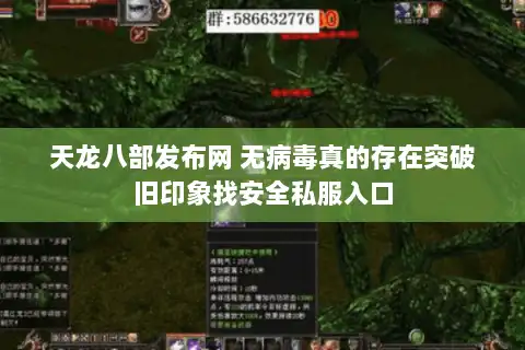 天龙八部发布网 无病毒真的存在突破旧印象找安全私服入口