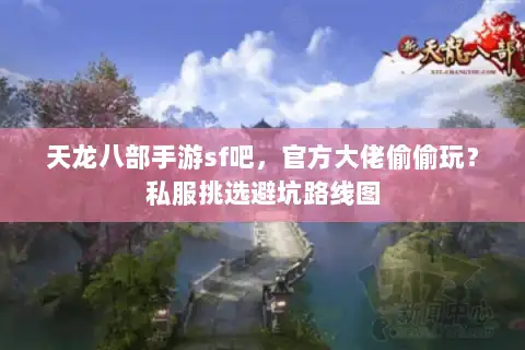 天龙八部手游sf吧，官方大佬偷偷玩？私服挑选避坑路线图