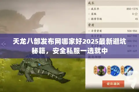 天龙八部发布网哪家好2025最新避坑秘籍,安全私服一选就中 天龙八部发布网哪家好2025最新避坑秘籍,安全私服一选就中