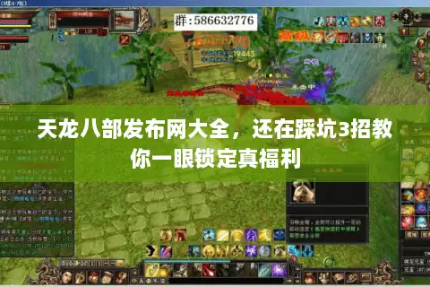 天龙八部发布网大全，还在踩坑3招教你一眼锁定真福利