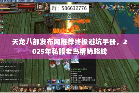 天龙八部发布网推荐终极避坑手册，2025年私服老鸟精筛路线