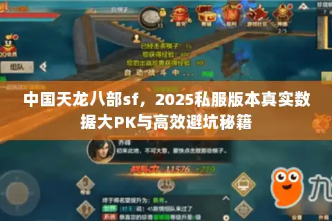 中国天龙八部sf，2025私服版本真实数据大PK与高效避坑秘籍