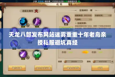 天龙八部发布网站迷雾重重十年老鸟亲授私服避坑真经 天龙八部发布网站迷雾重重十年老鸟亲授私服避坑真经