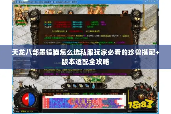 天龙八部墨镜猫怎么选私服玩家必看的珍兽搭配+版本适配全攻略