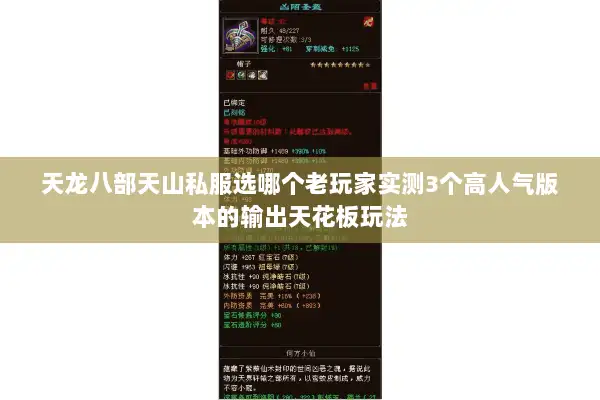 天龙八部天山私服选哪个老玩家实测3个高人气版本的输出天花板玩法 天龙八部天山私服选哪个老玩家实测3个高人气版本的输出天花板玩法