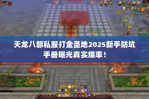 天龙八部私服打金圣地2025新手防坑手册曝光真实爆率！