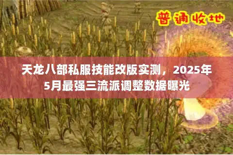 天龙八部私服技能改版实测，2025年5月最强三流派调整数据曝光