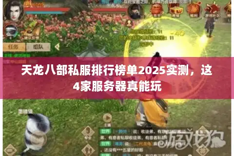 天龙八部私服排行榜单2025实测，这4家服务器真能玩