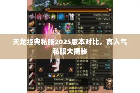 天龙经典私服2025版本对比，高人气私服大揭秘