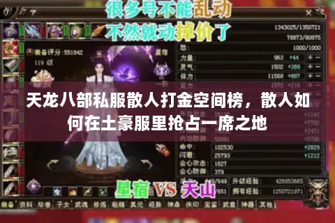 天龙八部私服散人打金空间榜，散人如何在土豪服里抢占一席之地