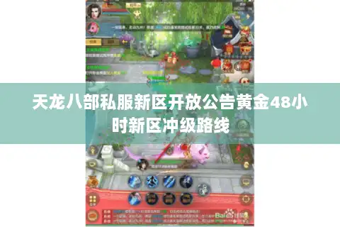 天龙八部私服新区开放公告黄金48小时新区冲级路线