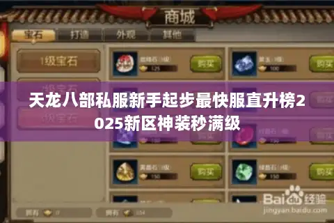 天龙八部私服新手起步最快服直升榜2025新区神装秒满级