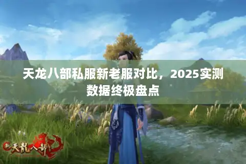 天龙八部私服新老服对比，2025实测数据终极盘点