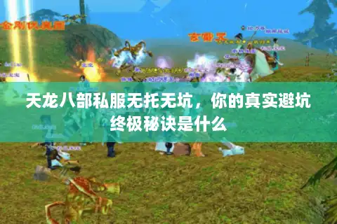 天龙八部私服无托无坑，你的真实避坑终极秘诀是什么