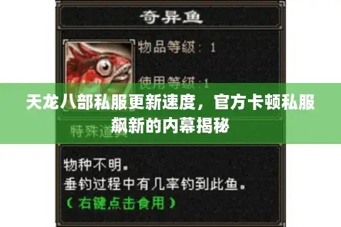 天龙八部私服更新速度，官方卡顿私服飙新的内幕揭秘