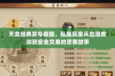 天龙经典买号截图，私服玩家从血泪教训到安全交易的逆袭故事