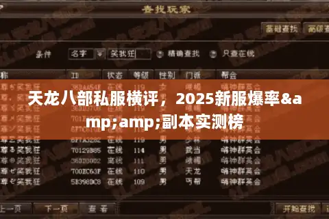 天龙八部私服横评，2025新服爆率&amp;副本实测榜