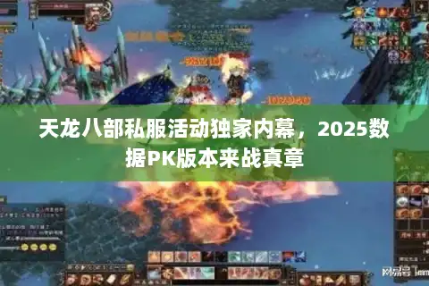 天龙八部私服活动独家内幕，2025数据PK版本来战真章