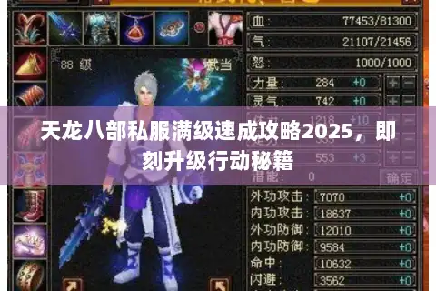 天龙八部私服满级速成攻略2025,即刻升级行动秘籍 天龙八部私服满级速成攻略2025,即刻升级行动秘籍