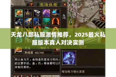 天龙八部私服激情推荐，2025最火私服版本真人对决实测