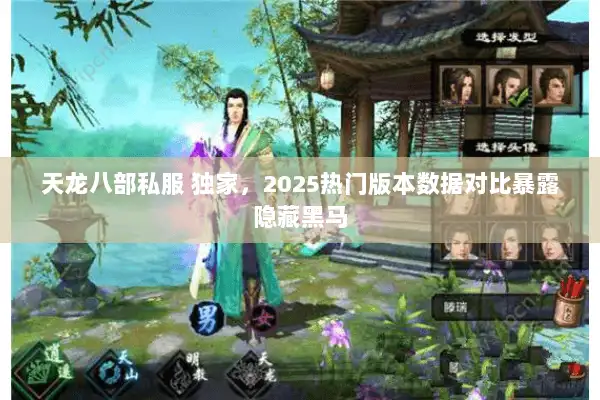天龙八部私服 独家，2025热门版本数据对比暴露隐藏黑马