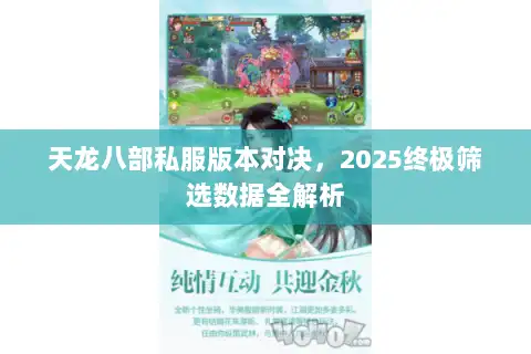 天龙八部私服版本对决，2025终极筛选数据全解析