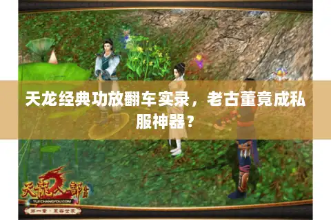 天龙经典功放翻车实录，老古董竟成私服神器？