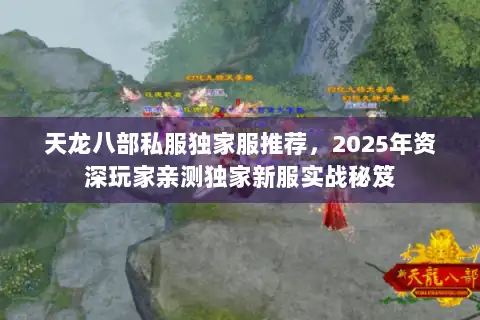 天龙八部私服独家服推荐，2025年资深玩家亲测独家新服实战秘笈