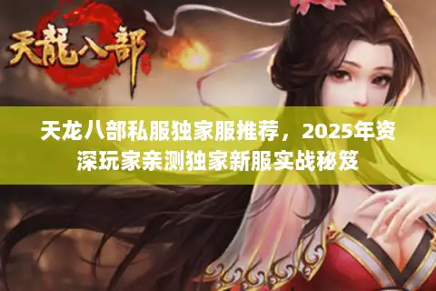 天龙八部私服独家服推荐，2025年资深玩家亲测独家新服实战秘笈
