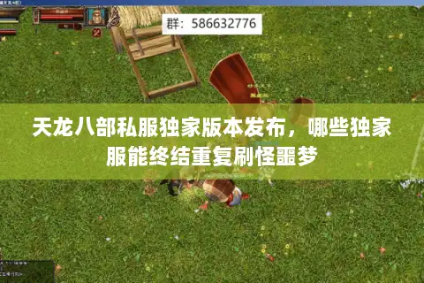 天龙八部私服独家版本发布，哪些独家服能终结重复刷怪噩梦