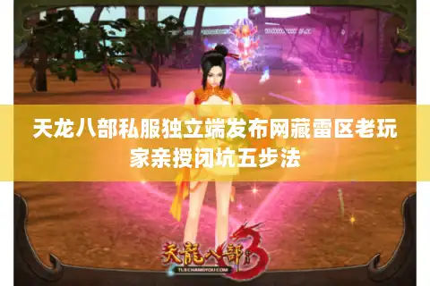 天龙八部私服独立端发布网藏雷区老玩家亲授闭坑五步法