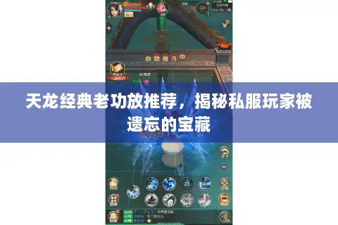 天龙经典老功放推荐，揭秘私服玩家被遗忘的宝藏