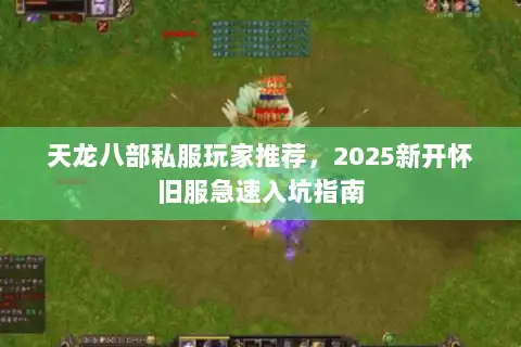 天龙八部私服玩家推荐，2025新开怀旧服急速入坑指南