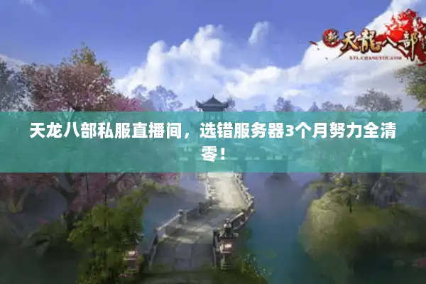 天龙八部私服直播间，选错服务器3个月努力全清零！