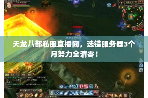 天龙八部私服直播间，选错服务器3个月努力全清零！