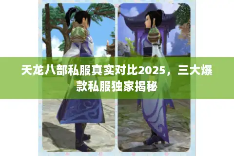 天龙八部私服真实对比2025，三大爆款私服独家揭秘