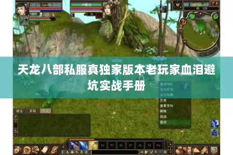 天龙八部私服真独家版本老玩家血泪避坑实战手册 天龙八部私服真独家版本老玩家血泪避坑实战手册