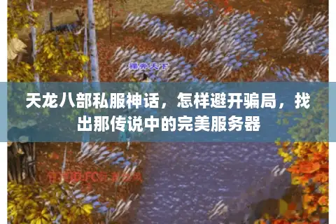 天龙八部私服神话，怎样避开骗局，找出那传说中的完美服务器