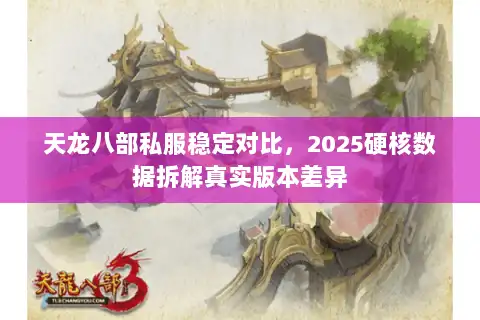 天龙八部私服稳定对比，2025硬核数据拆解真实版本差异