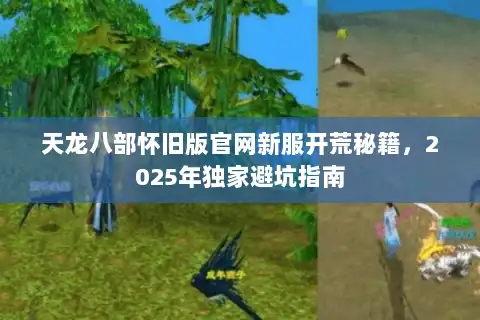 天龙八部怀旧版官网新服开荒秘籍,2025年独家避坑指南 天龙八部怀旧版官网新服开荒秘籍,2025年独家避坑指南