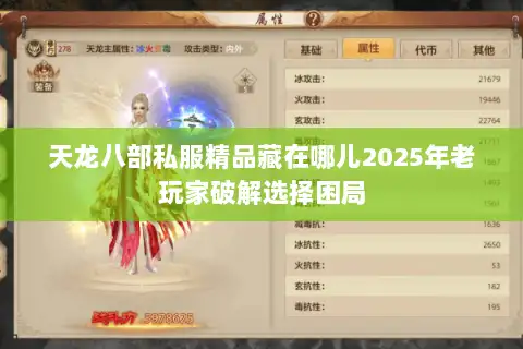 天龙八部私服精品藏在哪儿2025年老玩家破解选择困局