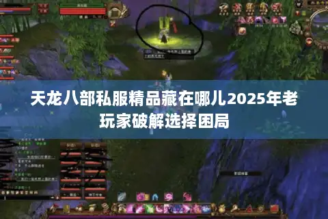 天龙八部私服精品藏在哪儿2025年老玩家破解选择困局