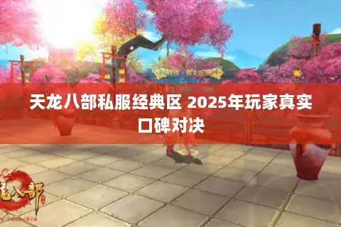 天龙八部私服经典区 2025年玩家真实口碑对决