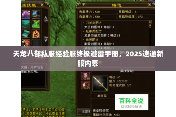 天龙八部私服经验服终极避雷手册，2025速通新服内幕
