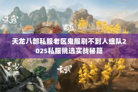 天龙八部私服老区鬼服刷不到人组队2025私服挑选实战秘籍