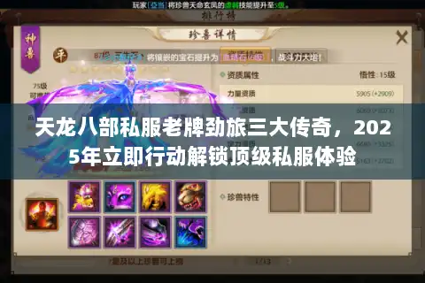 天龙八部私服老牌劲旅三大传奇,2025年立即行动解锁顶级私服体验 天龙八部私服老牌劲旅三大传奇,2025年立即行动解锁顶级私服体验