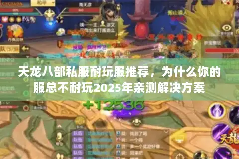 天龙八部私服耐玩服推荐，为什么你的服总不耐玩2025年亲测解决方案