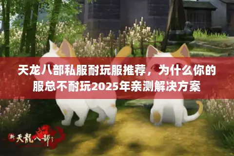 天龙八部私服耐玩服推荐，为什么你的服总不耐玩2025年亲测解决方案