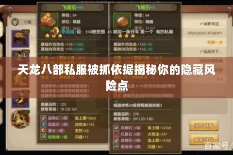 天龙八部私服被抓依据揭秘你的隐藏风险点