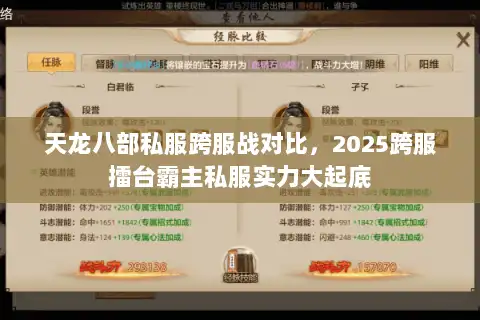 天龙八部私服跨服战对比，2025跨服擂台霸主私服实力大起底